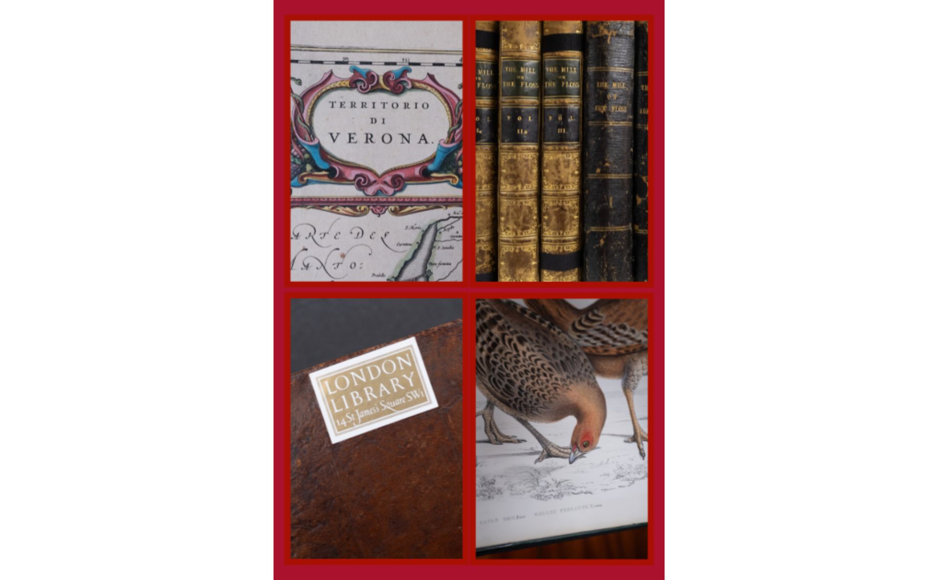 Image 6 Library fund 2025